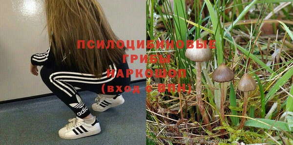 СК Красноперекопск