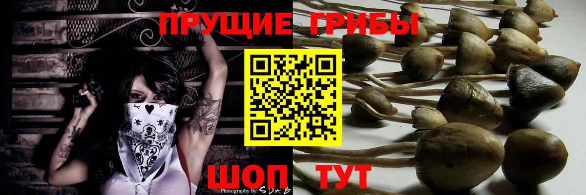Галлюциногенные грибы мицелий  Вход с VPN  Янаул  Галлюциногенные грибы Psilocybine cubensis 